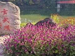 -黄椅山火山森林公园