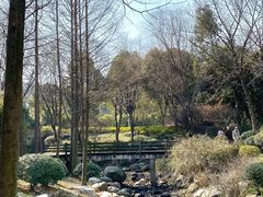 -宝界山林公园