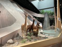 -武汉园博园(武汉自然博物馆)