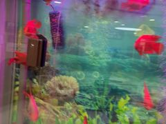-雅悦齿科(顾村公园店)