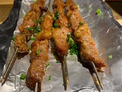 大漠羊肉串-福宝漠北·牛羊肉(广埠屯店)