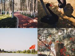 -艾溪湖湿地公园