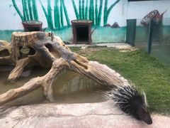 -泉州海丝野生动物世界