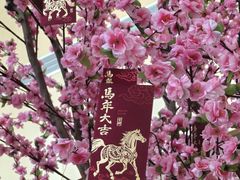 -重庆悦来温德姆酒店