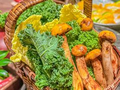 -蘑界·野生菌火锅(深业上城店)