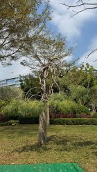 -深圳市儿童乐园