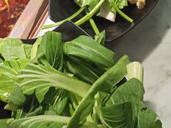 -新辣道鱼火锅(领展购物广场·中关村店)