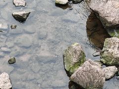 -重庆彩云湖湿地公园