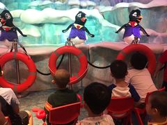 -帝企鹅自助餐厅•儿童岛•真企鹅(长隆企鹅酒店)