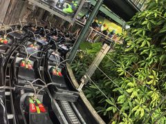 -圣淘沙天际线斜坡滑车