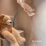 西安坠好吃的漂亮饭找到了找到了！！！！