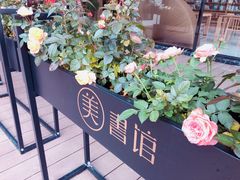 -瑶湖郊野森林公园