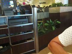 -必胜客(八一店)