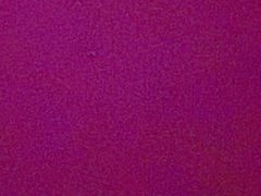 -水上乐园·欢乐世界