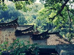 -杨家堂村