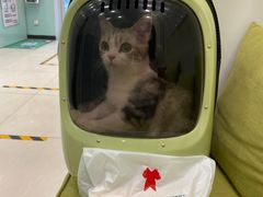 -悦宠凯宝动物医院·牙科·皮肤科(朝阳北路店)