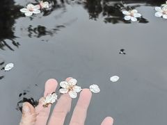 -大连金石滩绿发温泉假日酒店