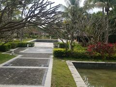 -采粤轩中餐厅(惠州金海湾喜来登度假酒店)