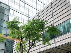 -Dragonfly悠庭·按摩Spa(静安嘉里中心店)