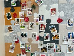 -翊宠yipet猫狗购宠庄园犬舍•猫舍