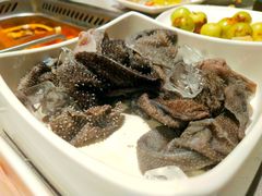 -海底捞火锅(公益西桥店)