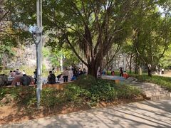 -金鸡山公园