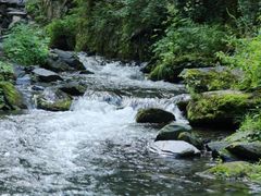 -凤凰山国家森林公园