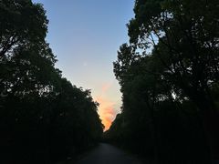 -上海海湾国家森林公园