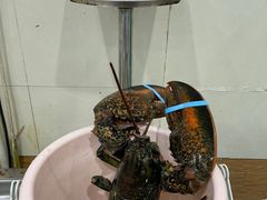 -海岛渔村大酒店(云霄路店)