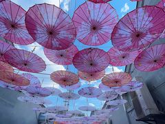 -康陵正德春饼宴26号
