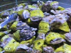 -聚盛源蒸汽海鲜火锅烤肉自助(巨川金海岸购物广场店)