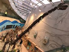 -陕西自然博物馆