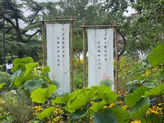 -莲花池公园