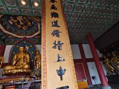 -上海东林寺(金山区)