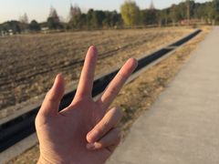 -嘉北郊野公园