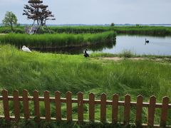 -黑龙江扎龙生态旅游区