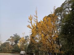 -西南交通大学(峨眉校区)