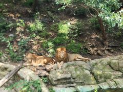 -大连森林动物园