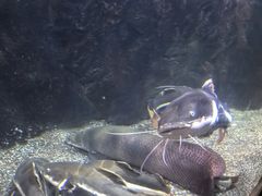 -太平洋海底世界