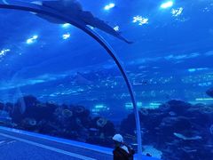 -成都浩海立方海洋公园