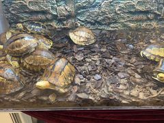 -上海跨国采购会展中心