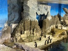 -成都浩海立方海洋公园