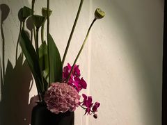 -三利音·浦之舟(滨江大道店)