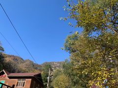 -大岭沟猕猴桃谷风景区