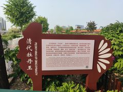 -曹州百花园