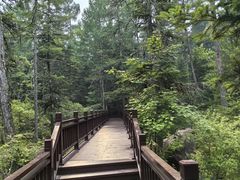 -汤旺河林海奇石景区