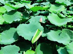 景点-宝墨园景区