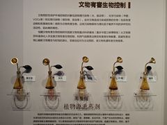 -重庆中国三峡博物馆(重庆博物馆)