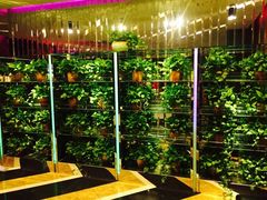 -乐道好声音量贩式KTV(北行店)