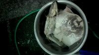 2017,6,13日买的臭鱼-古月香清真饭店